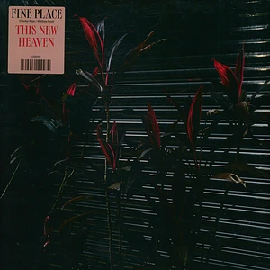 Fine Place - This New Heaven