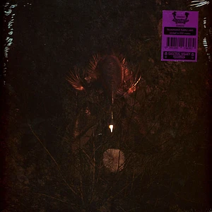 Bongbongbeerwizards - Ampire Neon Transparent Purple Vinyl Edition
