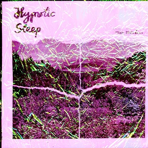 Hypnotic Sleep / The Fulmars - Autumn Glory