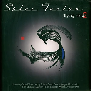Spice Fusion - Trying Hard 2