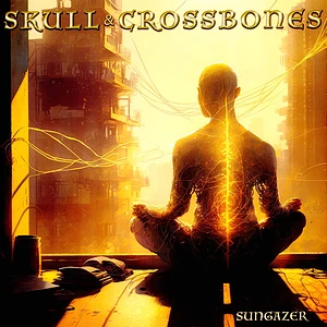 Skull & Crossbones - Sungazer Black Vinyl Edition