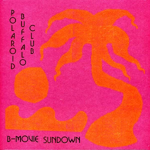 Polaroid Buffalo Club - B-Movie Sundown