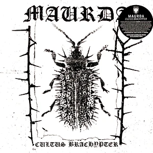 Maurda - Cultus Brachypter