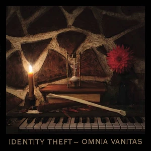 Identity Theft - Omnia Vitas
