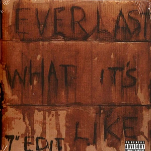 Everlast - What It's Like / Ends