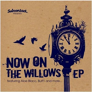 Now On - The Willows EP