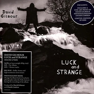 David Gilmour - Luck And Strange