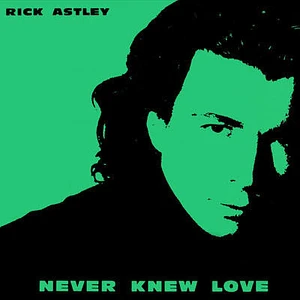 Rick Astley - Never Knew Love