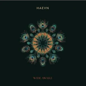 Haevn - Wide Awake Black Vinyl Edition