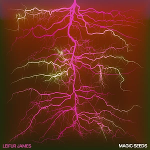 Leifur James - Magic Seeds