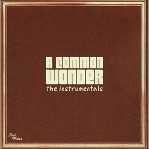 Common vs. Stevie Wonder - A Common Wonder Instrumentals