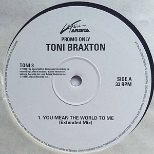 Toni Braxton - You Mean The World To Me