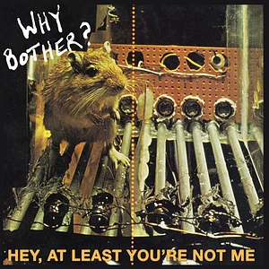 Why Bother - Hey, At Least You're Not Me