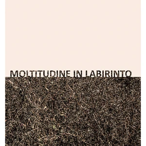 Gigi Masin & Giuseppe Caprioli - Moltitudine In Labirinto