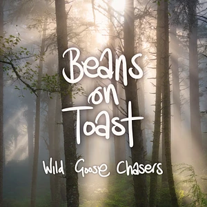 Beans On Toast - Wild Goose Chasers