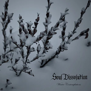 Soul Dissolution - Winter Contemplations