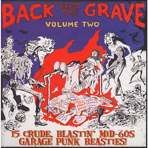 V.A. - Back From The Grave Volume 2