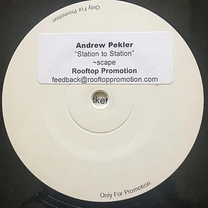 Andrew Pekler - Station To Station