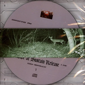Significant Other - Live At Sustain Release
