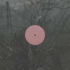 Alien D - For The Early Hours Of A World In Bloom
