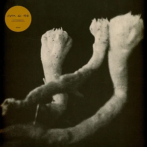 Läuten Der Seele - Unterhaltungen Mit Larven Und Überresten