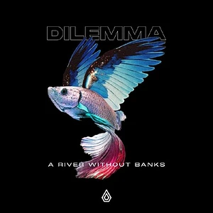 Dilemma - A River Without Banks