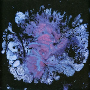 Ma Sha - Hexacorallia