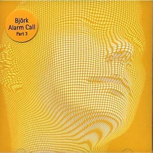 Björk - Alarm Call Part 3