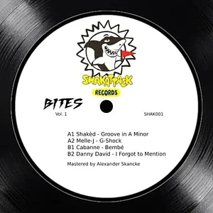 V.A. - Shakattack Bites Vol. 1