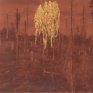 Petrozavodsk - Forest Fire