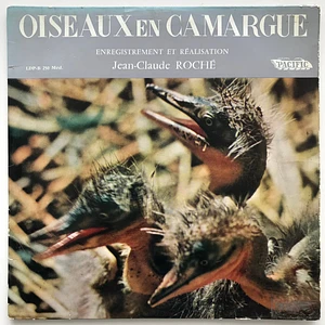 Jean C. Roche - Oiseaux En Camargue