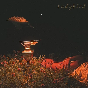 Orca - Ladybird
