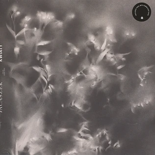 Jacaszek - Kwiaty Black Vinyl Edition