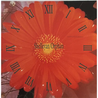 Shelleyan Orphan - Century Flower