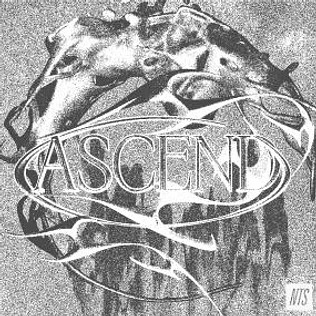 V.A. - Ascend
