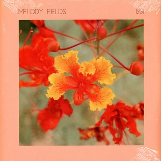 Melodie Fields - 1991