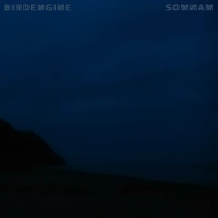 Birdengine - SOMNAM