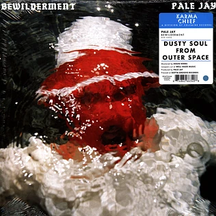 Pale Jay - Bewilderment Seafoam Green Vinyl Edition