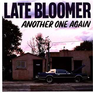 Late Bloomer - Another One Again