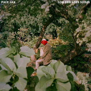 Pale Jay - Low End Love Songs