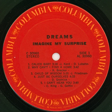 Dreams - Imagine My Surprise