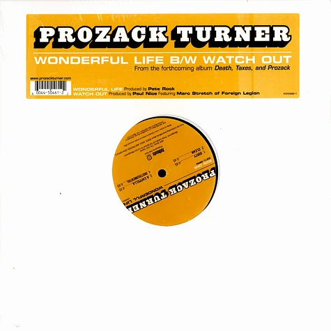 Prozack Turner of Foreign Legion - Wonderful life