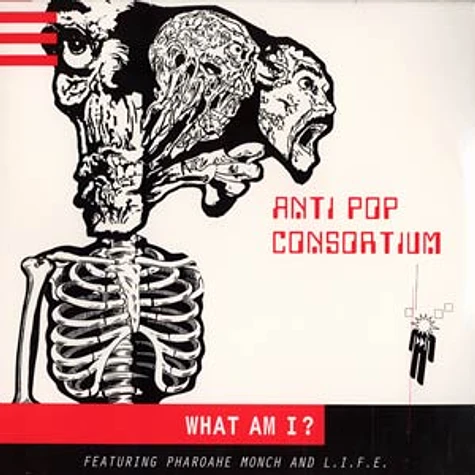 Antipop Consortium - What am i ?