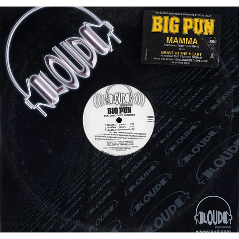 Big Punisher - Mamma / Brave In The Heart