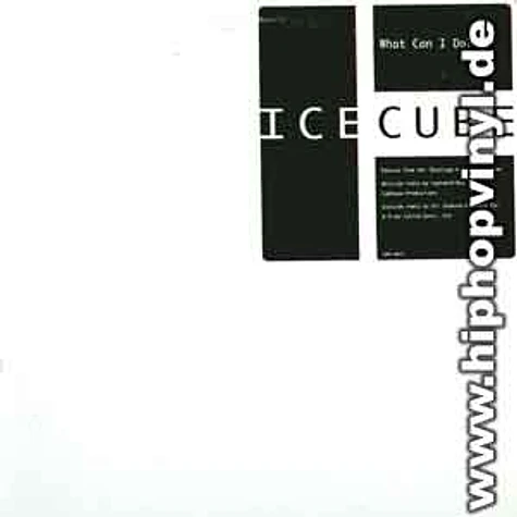 Ice Cube - What can i do? remixes