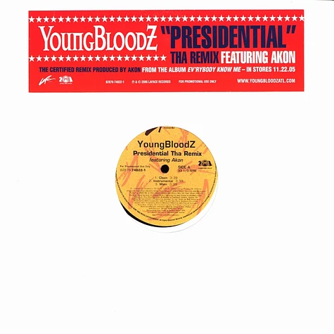 Youngbloodz - Presidential remix feat. Akon