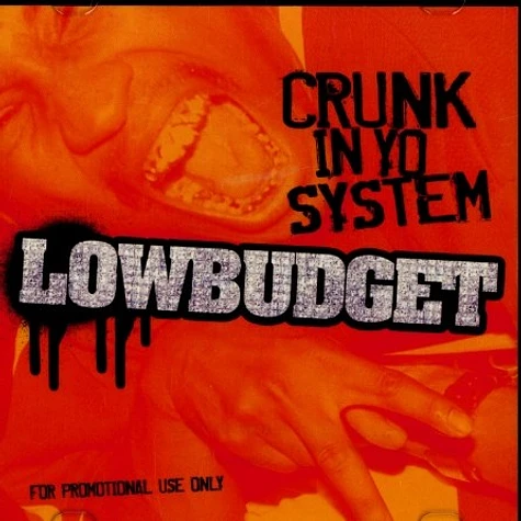 Low Budget (Holertronix) - Crunk in yo system