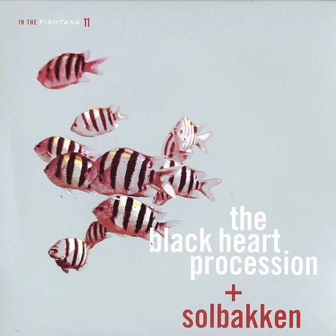 Black Heart Procession & Solbakken - In the fishtank 11