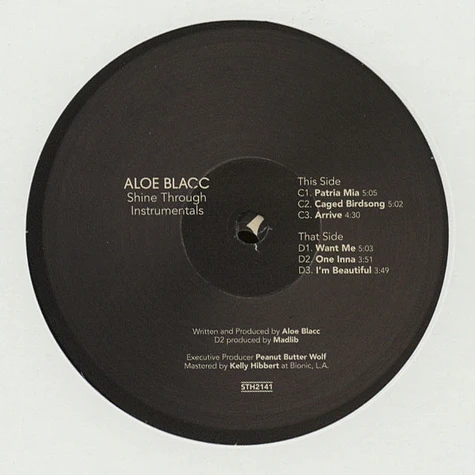Aloe Blacc - Shine Through Instrumentals
