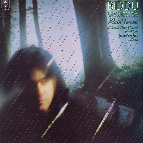 Biddu Orchestra - Rain forest